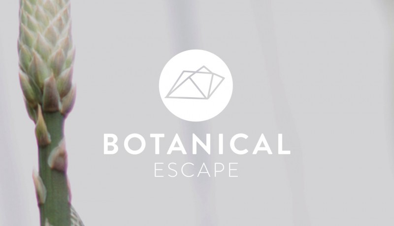 A Botanical Escape